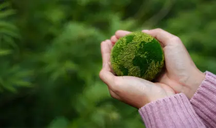 Environmental Value of ISCC Certified Pyrolysis Oil