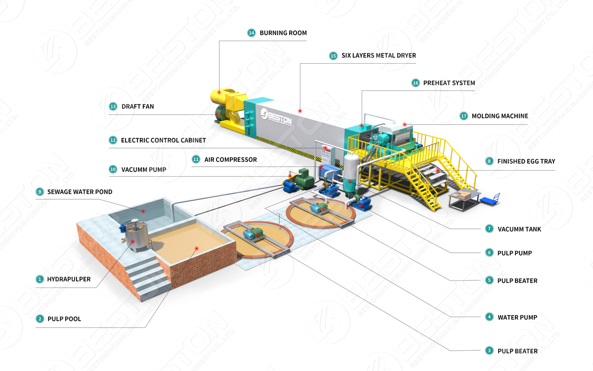 Egg Tray Machine Click for Price Now Beston Group