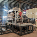 BTF5-8 Paper Egg Tray Machine Shipped to Fiji