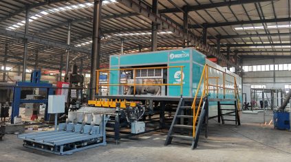 BTF4-4 Egg Tray Making Machine Shipped to Argentina in September 2022