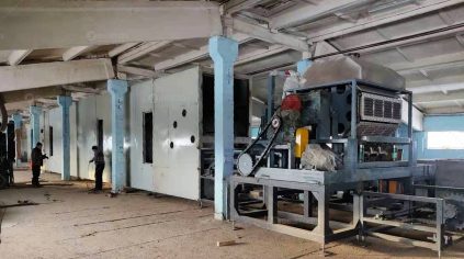 BTF4-8 Automatic Egg Tray Making Machine Installed in Russia