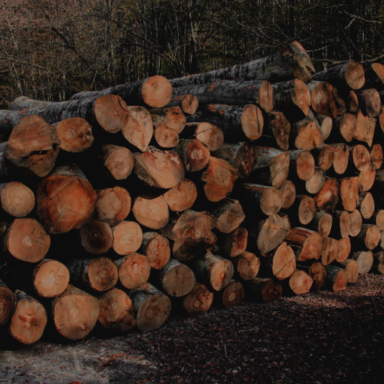 Оқыған кезде бітті Шахзода кушикчи секс