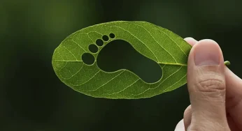 Дәретханадағы секс видео