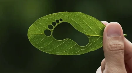 How Biochar Reduces Carbon Footprint