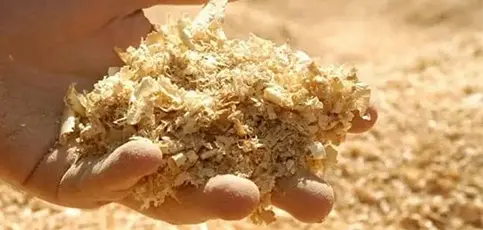 Matière première de sciure de bois