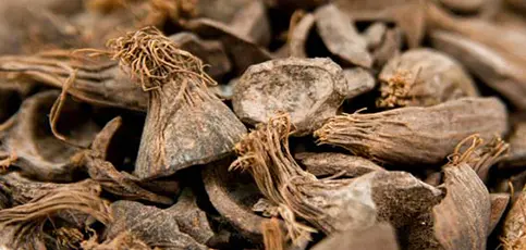 Palm Kernel Shell