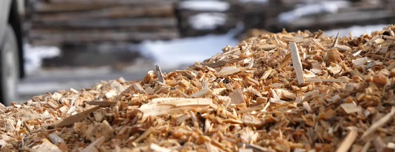 Biomass Qualification Requirements