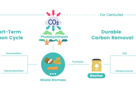 How Biochar Achieves Carbon Removal