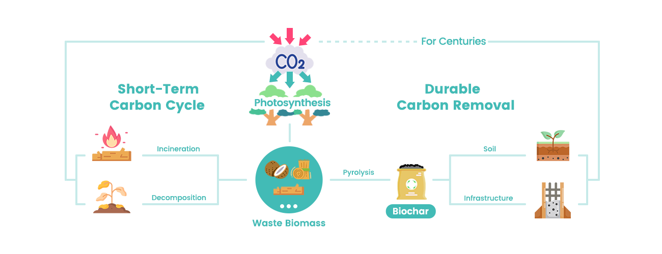 How Biochar Achieves Carbon Removal