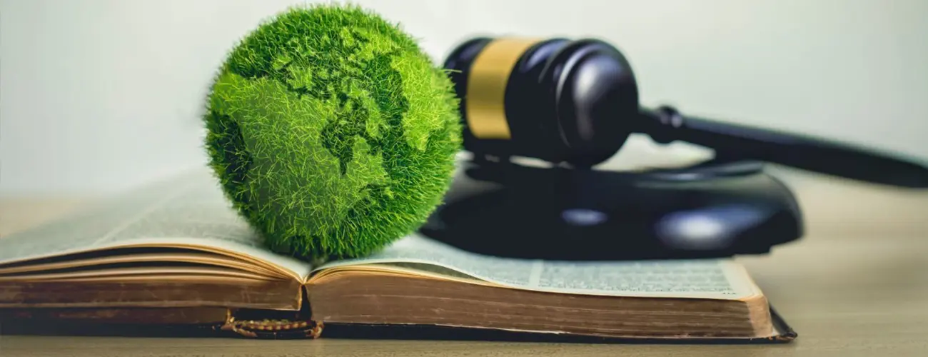 Strict Environmental Regulations