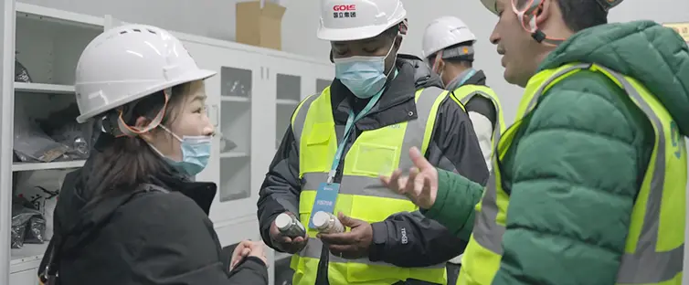 Comparison of Biomass and Biochar Samples