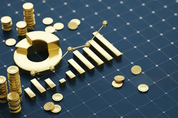 Digestate Biochar Project Faces Economic Pressure