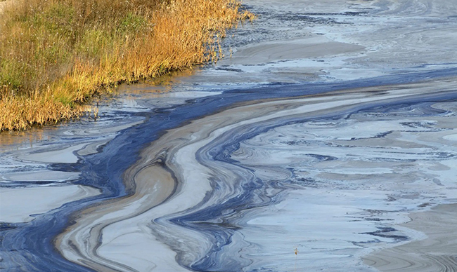 Impact on Water Resources and Ecosystems