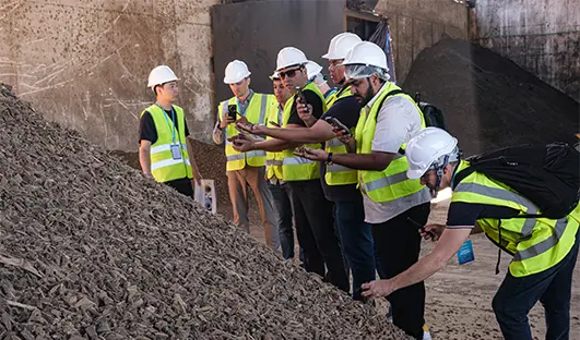 Olive Wood Feedstock