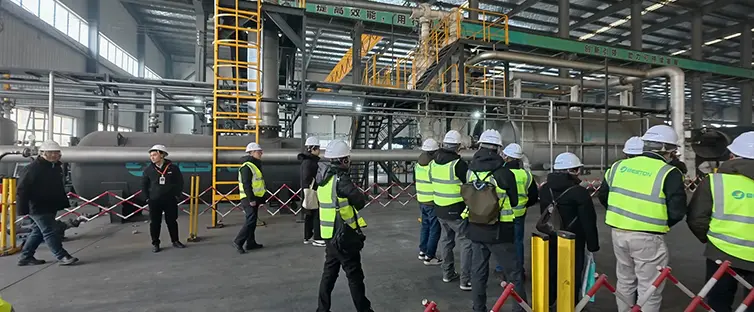 On-site Inspection of BLJ-20 Pyrolysis Plant