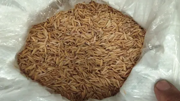 Rice Husk from Southeast Asia
