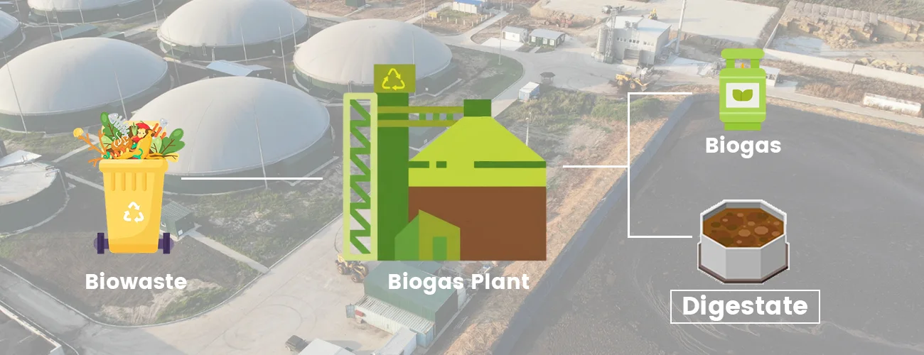 Where Does Digestate Come From