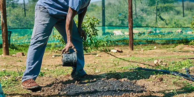 Biochar Applied to Farmland