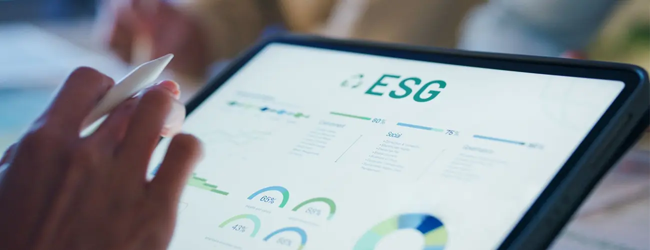 ESG Strategy of Global Brands