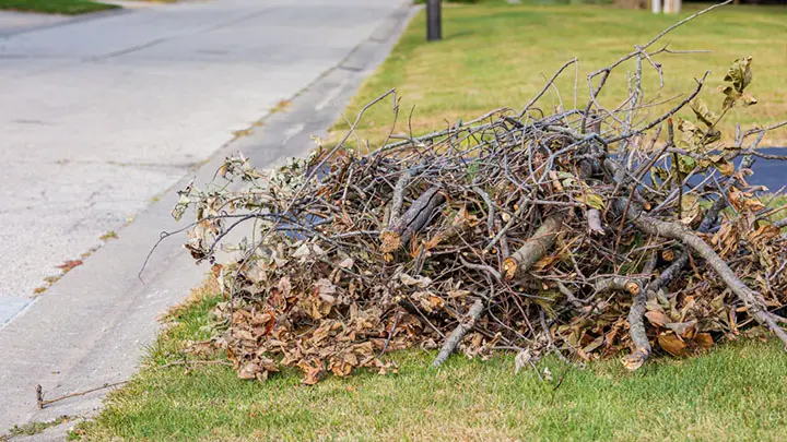 Yard & Municipal Green Waste