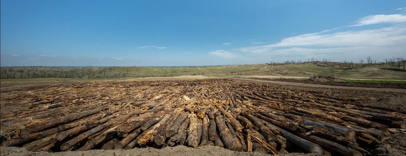 Biomass Direct Storage Site