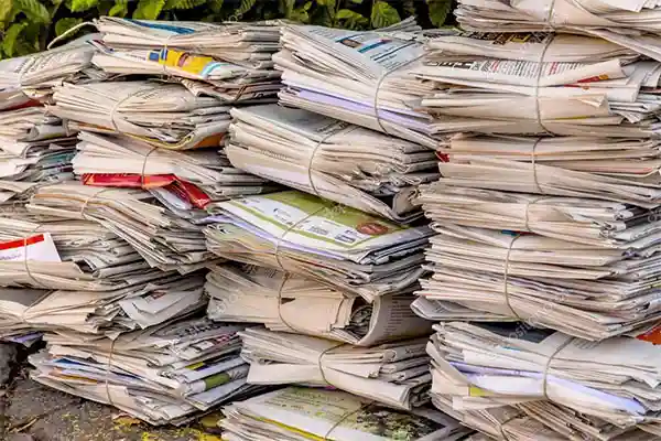 Waste Newspaper