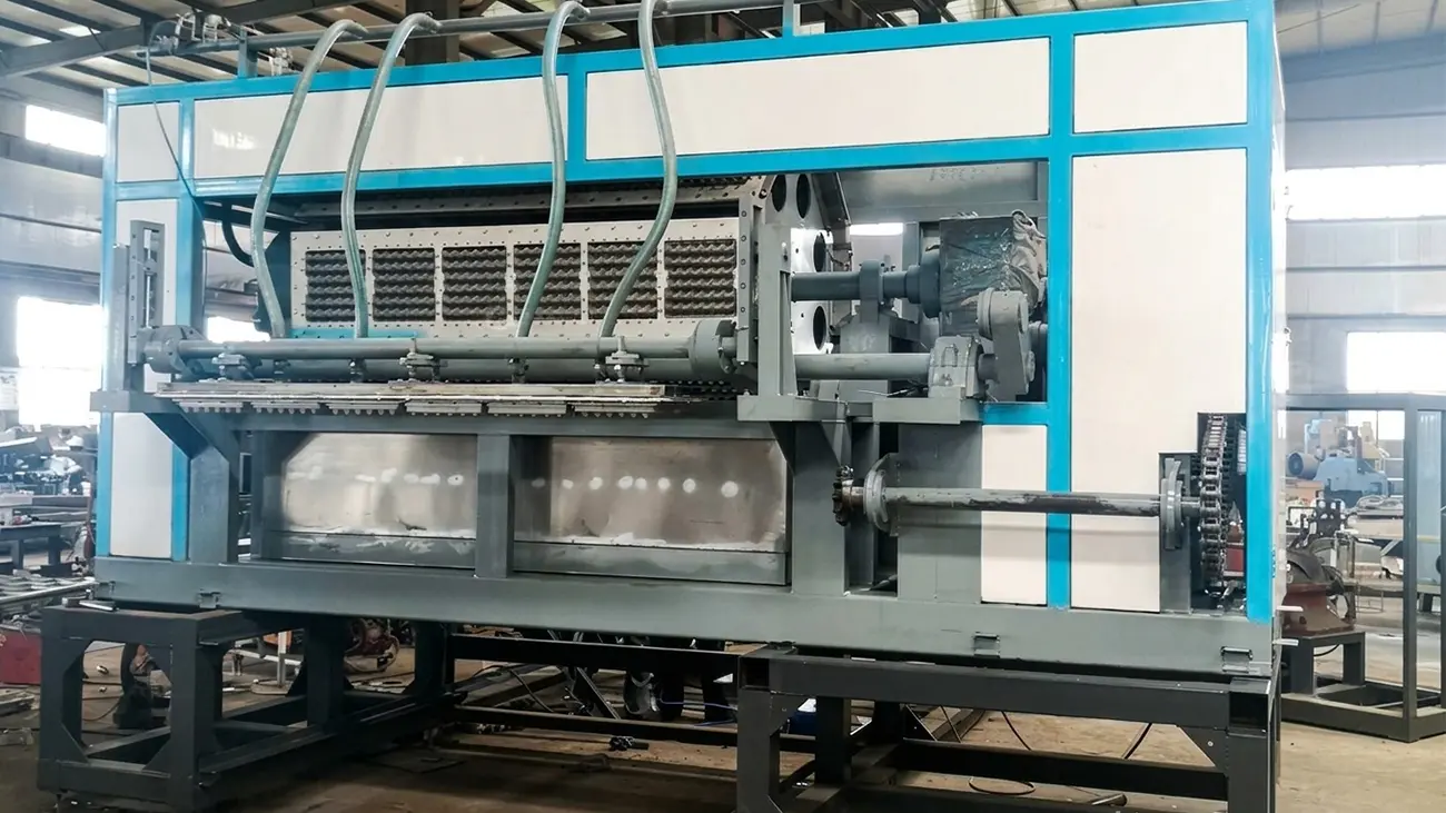 BTF6-8 6000-7000 PCS Egg Tray Machine