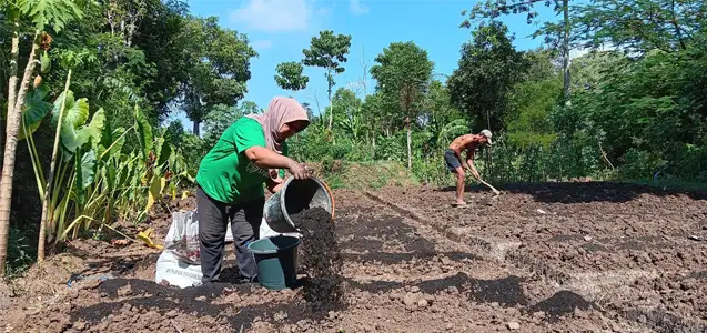 Biochar Application in Indonesia to Improve Soil Health