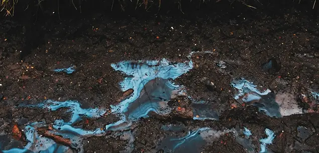 Petrochemical-Contaminated Soils