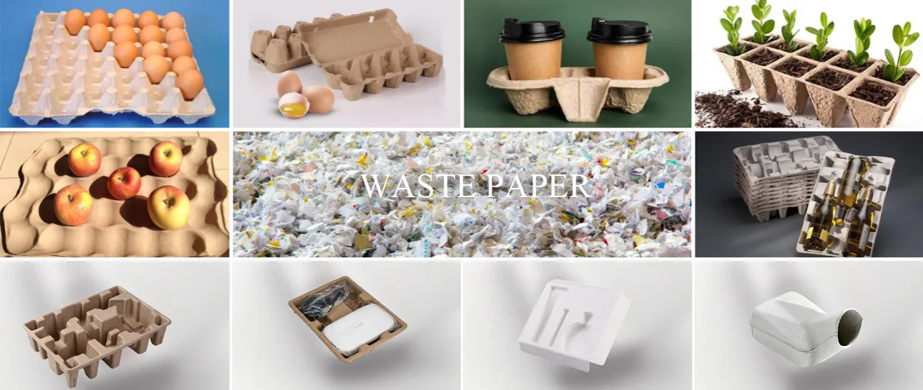 Products Made from Pulp Molding Machine