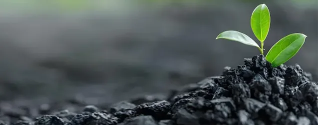 Scientific Case of Biochar