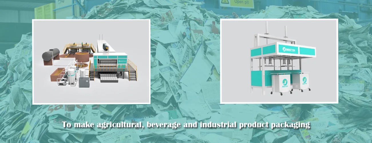 Two Types of Beston Pulp Molding Machine