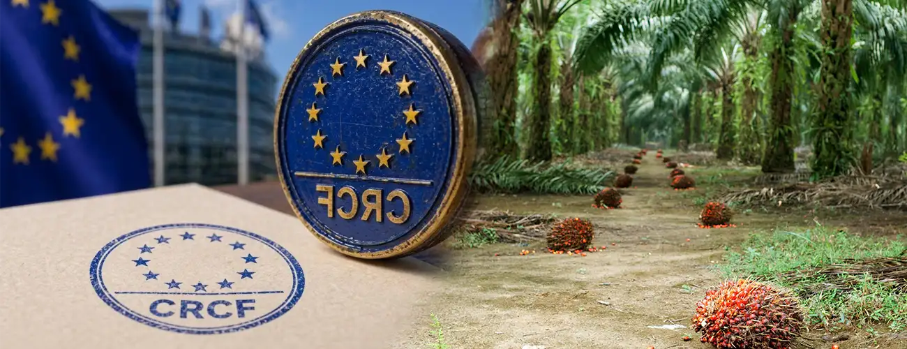 Cross-Regional Synergy Between EU Policy and SE AsiaFeedstock