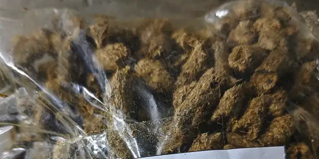 EFB Pellet Test