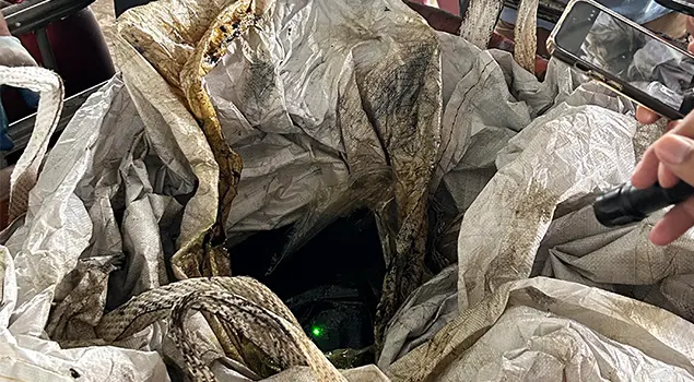 Inspecting Raw Oil Sludge Feedstock