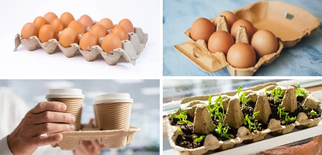 Various Paper Trays