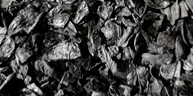 Walnut Shell Biochar