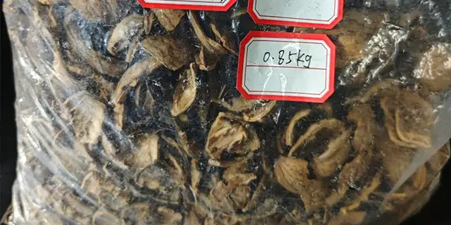 Walnut Shell Test
