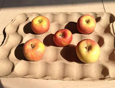 30 Holes Apple Tray