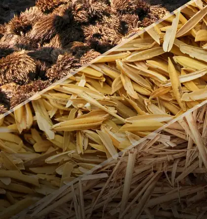 Agricultural Waste for Small Charcoal Machine