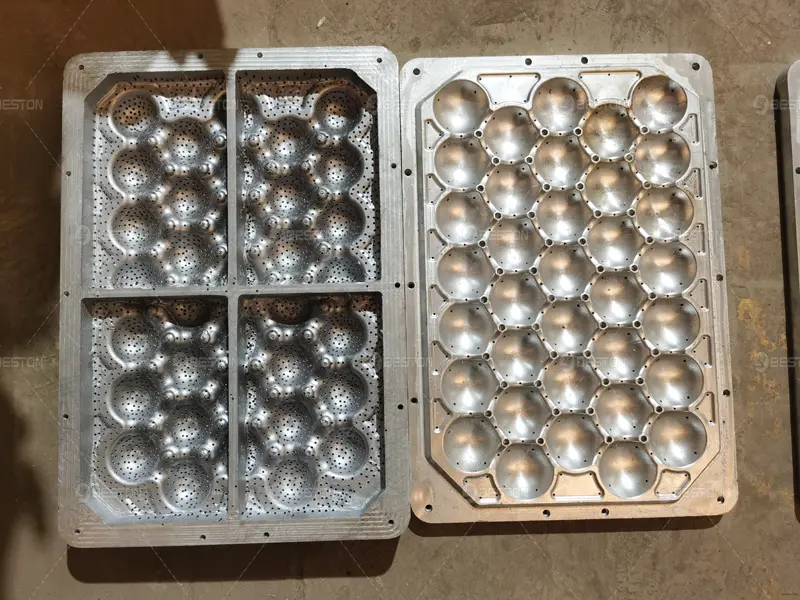 Apple Tray Mold of Apple Tray Making Machine