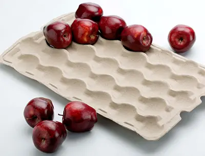 Apple Tray