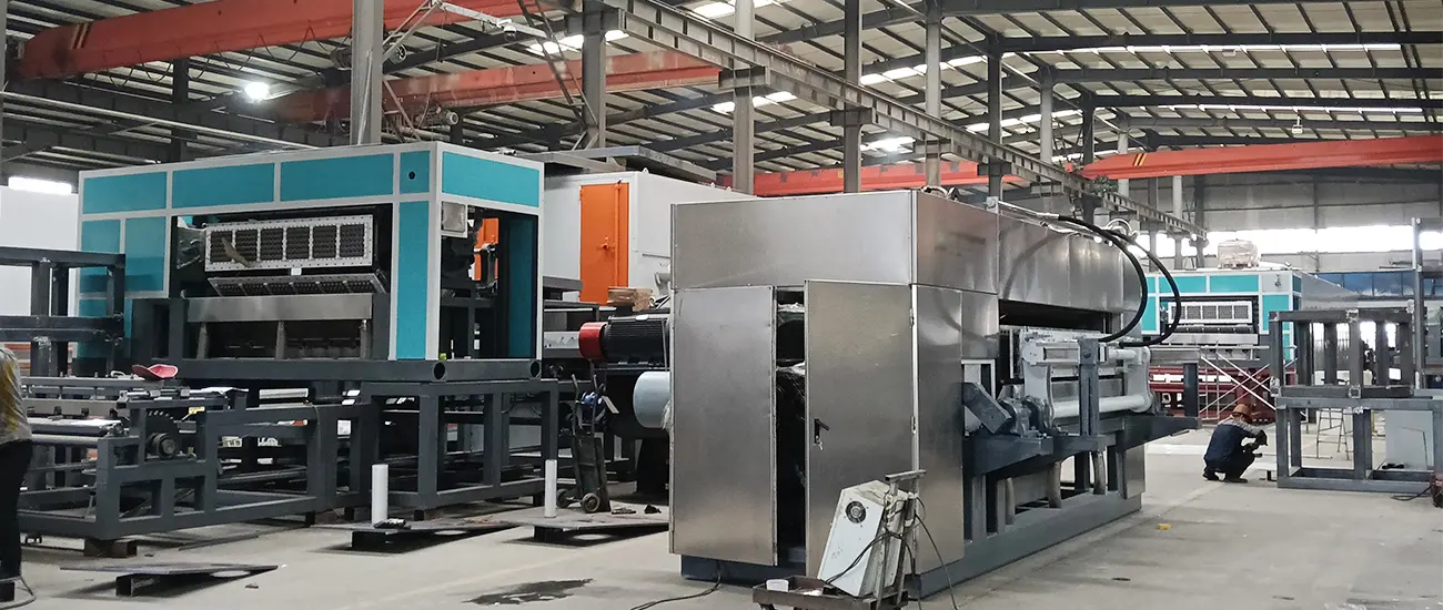 Factory of Beston Apple Tray Machine