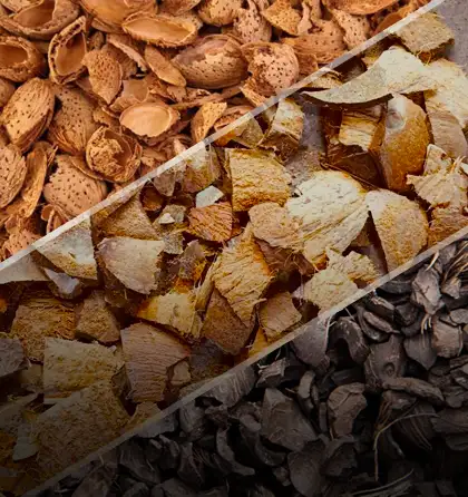 Fruit Shells for Small Charcoal Machine