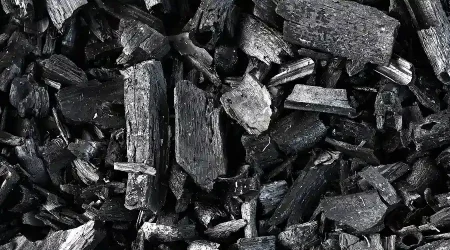 Metallurgical Biochar