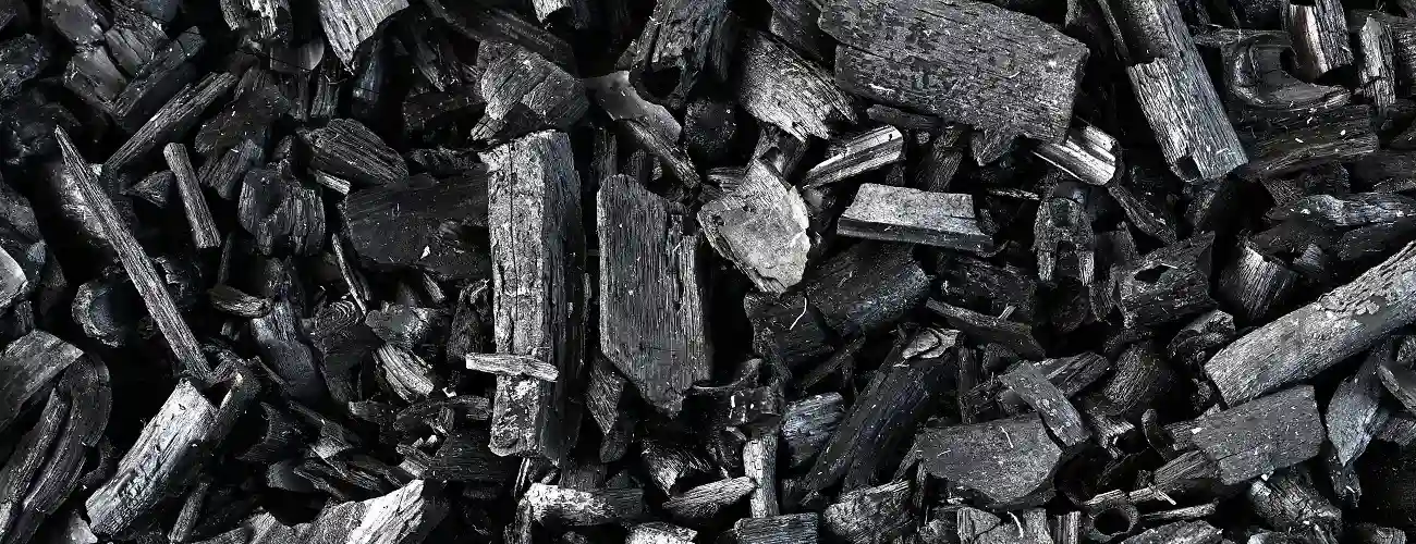 Metallurgical Biochar