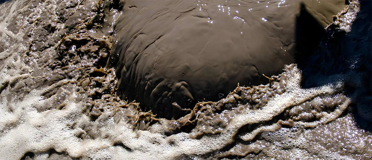 Municipal Sewage Sludge Sourced from Wastewater Treatment Plants