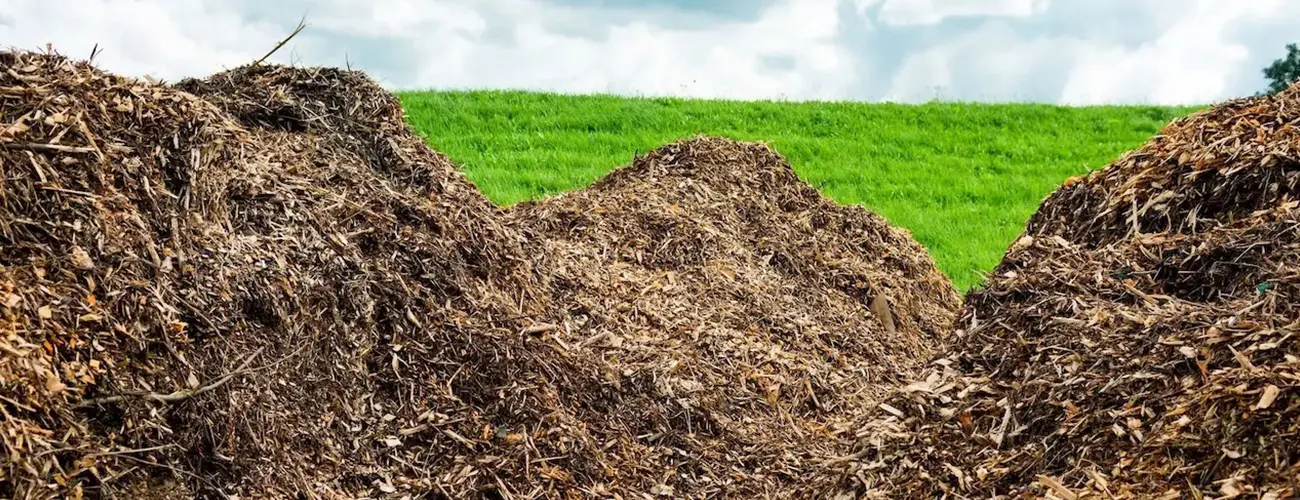 Pile Up Waste Biomass
