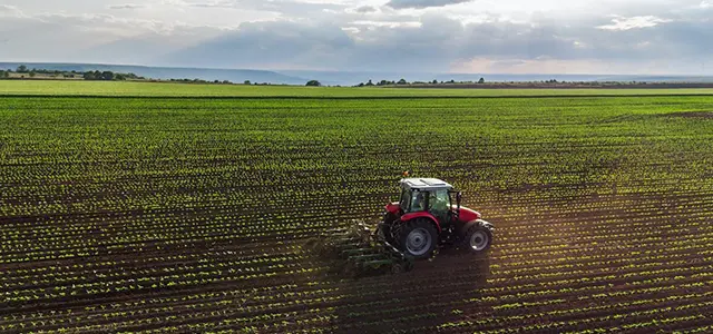 Plantations & Large Farms
