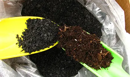 Sewage Sludge Biochar for Soil Amendment